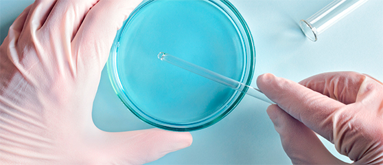 Что такое ооциты и как они используются при ЭКО?