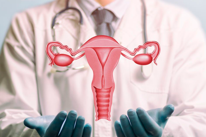 Восемь фактов о гормонах эстрогенах, которые должна знать каждая женщина 