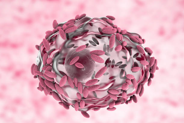 Бактериальный вагиноз (гарднереллез)